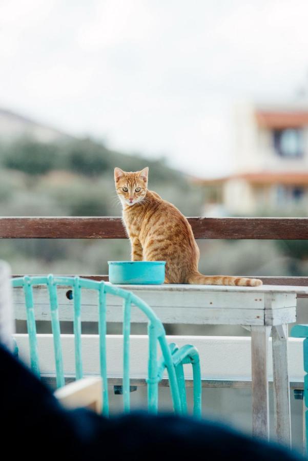 Saveriako, Paradise For Relaxed Free Spirits Villa Agia Pelagia Екстериор снимка
