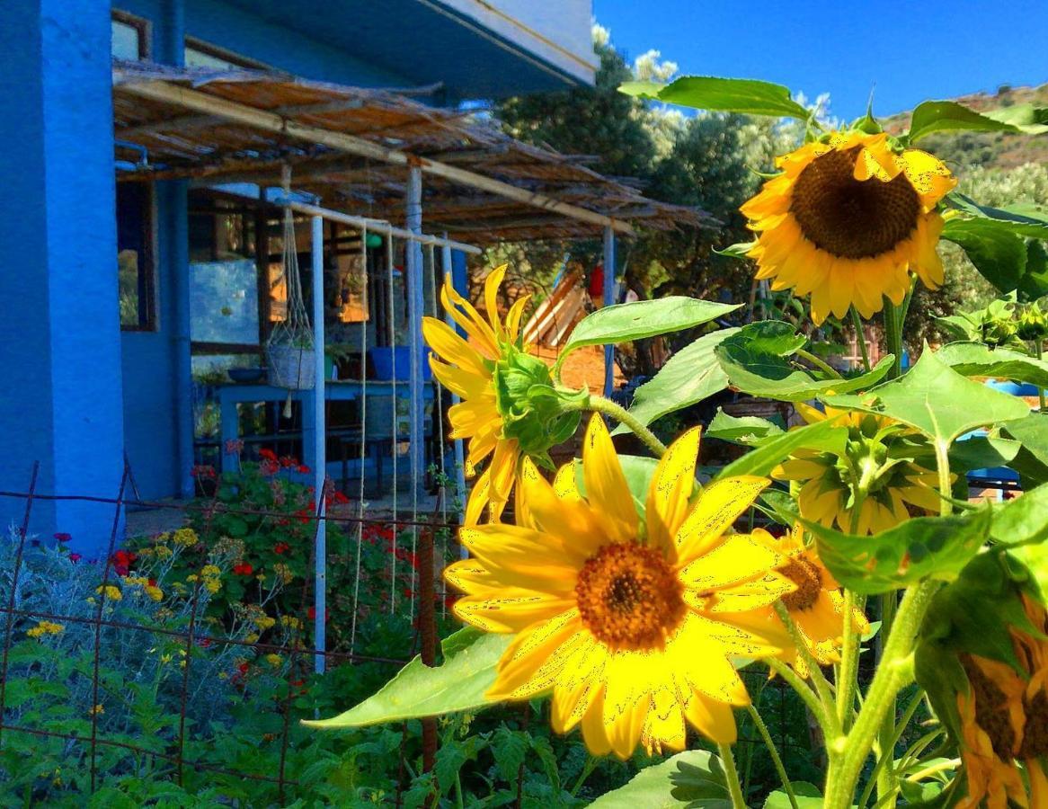 Saveriako, Paradise For Relaxed Free Spirits Villa Agia Pelagia Екстериор снимка