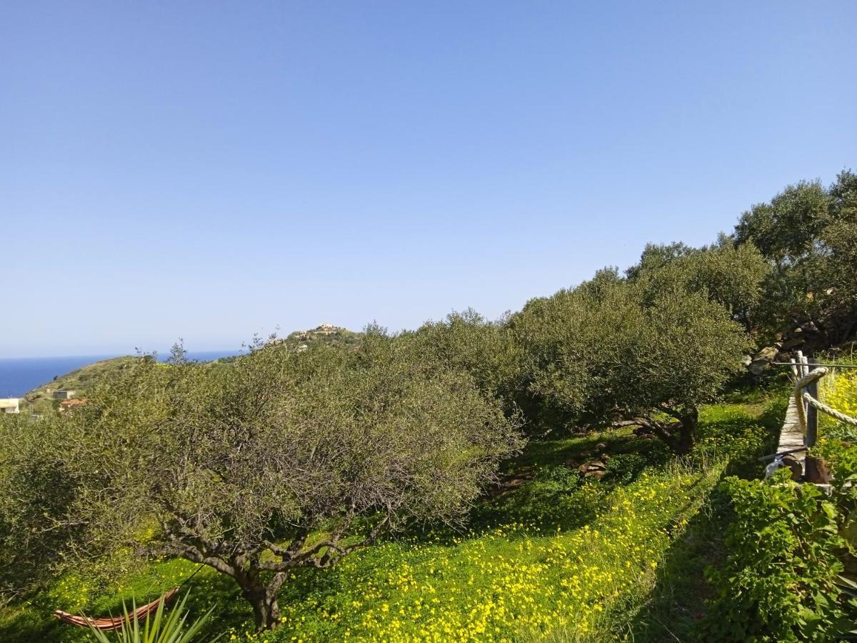 Saveriako, Paradise For Relaxed Free Spirits Villa Agia Pelagia Екстериор снимка