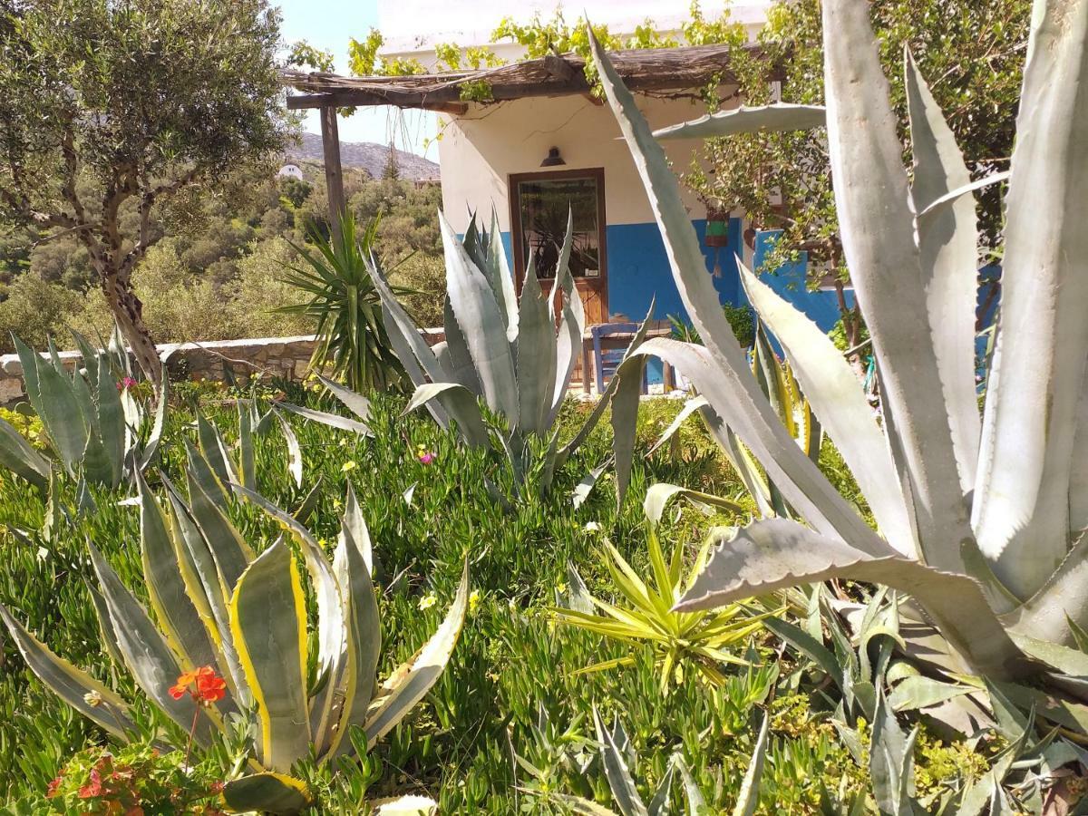 Saveriako, Paradise For Relaxed Free Spirits Villa Agia Pelagia Екстериор снимка